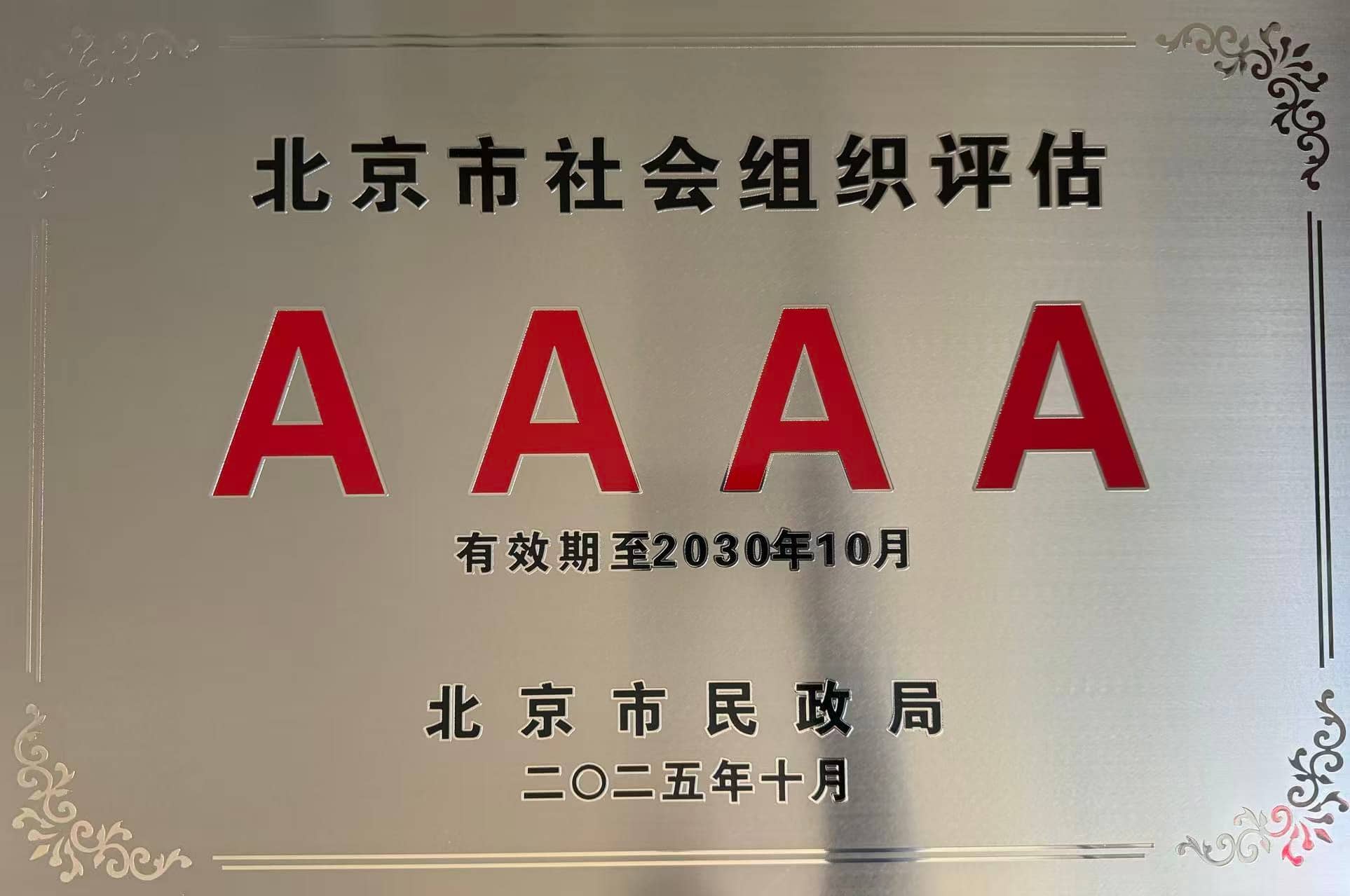 2025年社会组织4A评估铜牌
