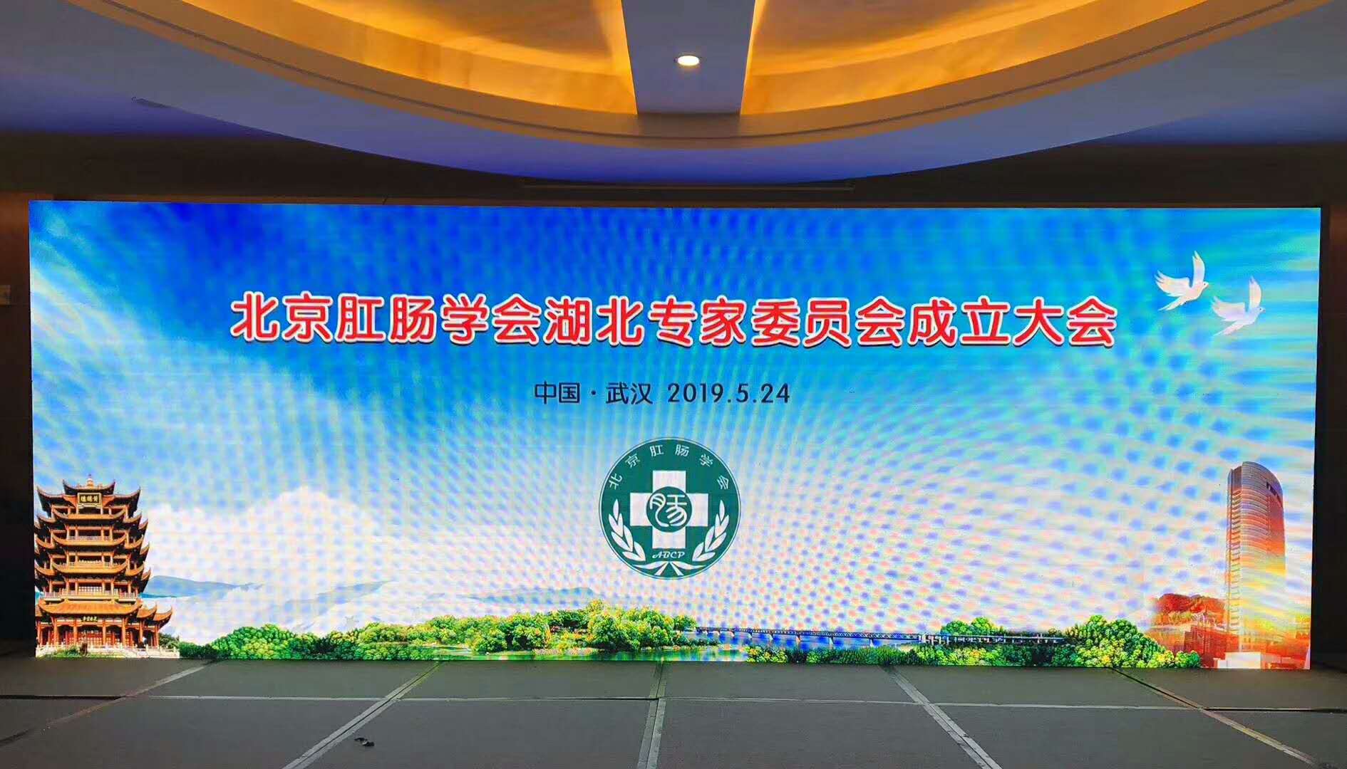 北京肛肠学会湖北专家委员会成立